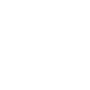 Shield white icon