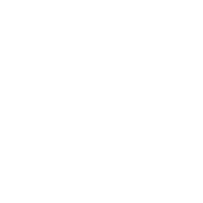 Thermometer white icon