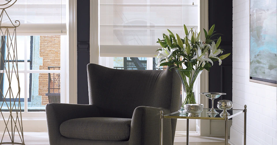 Photo of Window Treatments by Phifer